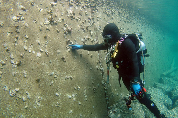 潜水調査 写真2
