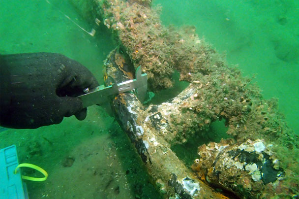 潜水調査 写真3