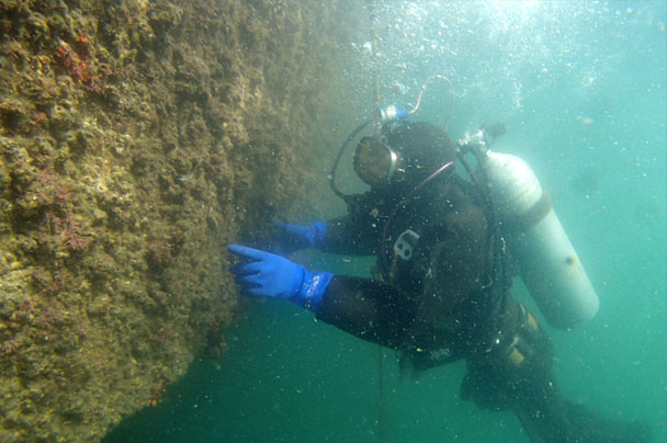 潜水調査 写真2