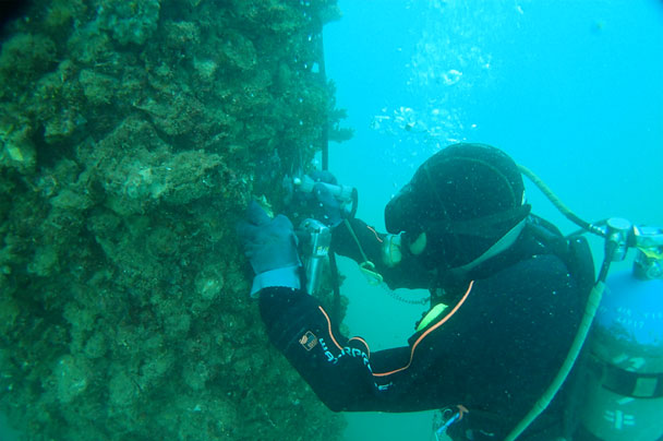 潜水調査 写真3