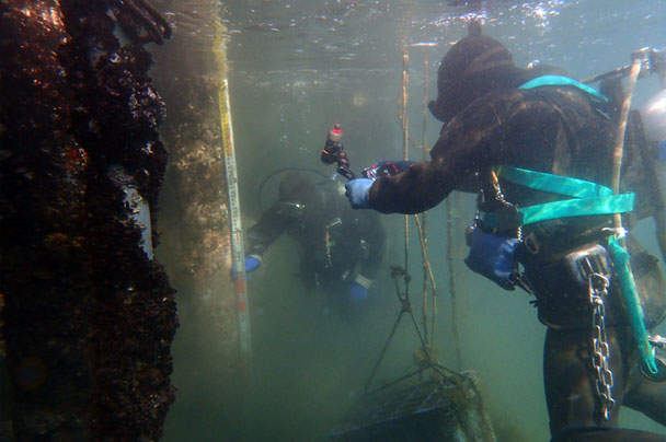 潜水調査 写真2