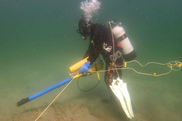 潜水調査 写真3